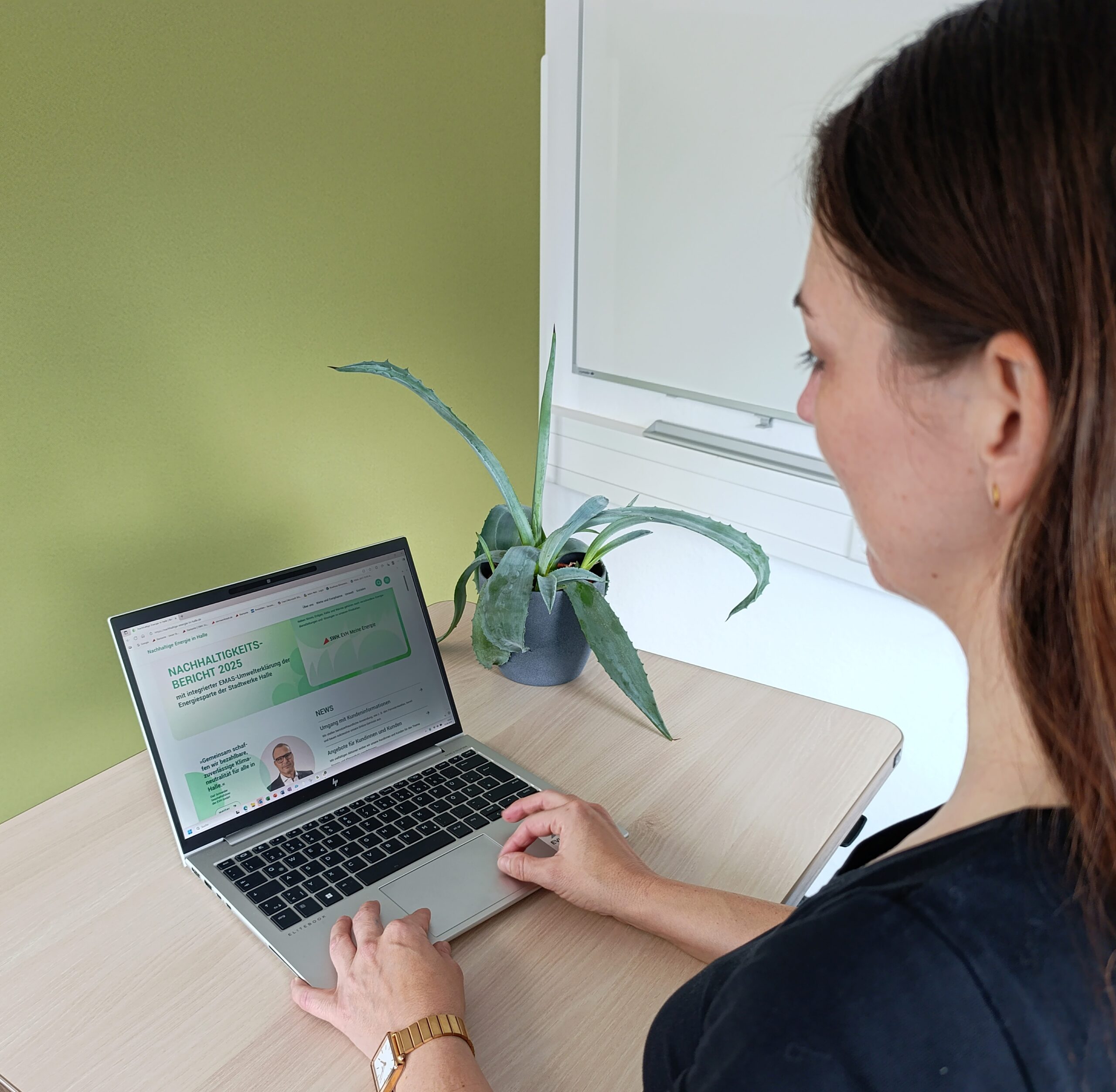 Nachhaltigkeitsbericht EVH GmbH – Nachhaltigkeitsbericht: Werte und Compliance – Nachhaltigkeitsbericht: Grafik