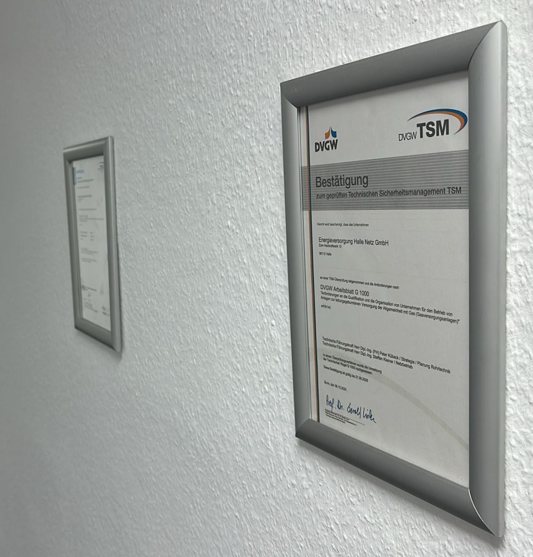 TSM Zertifikate Übergabe der Urkunde für 25 Jahre erfolgreiche Registrierung nach der EMAS-Verordnung mit Blick über die Dächer von Halle (Saale)