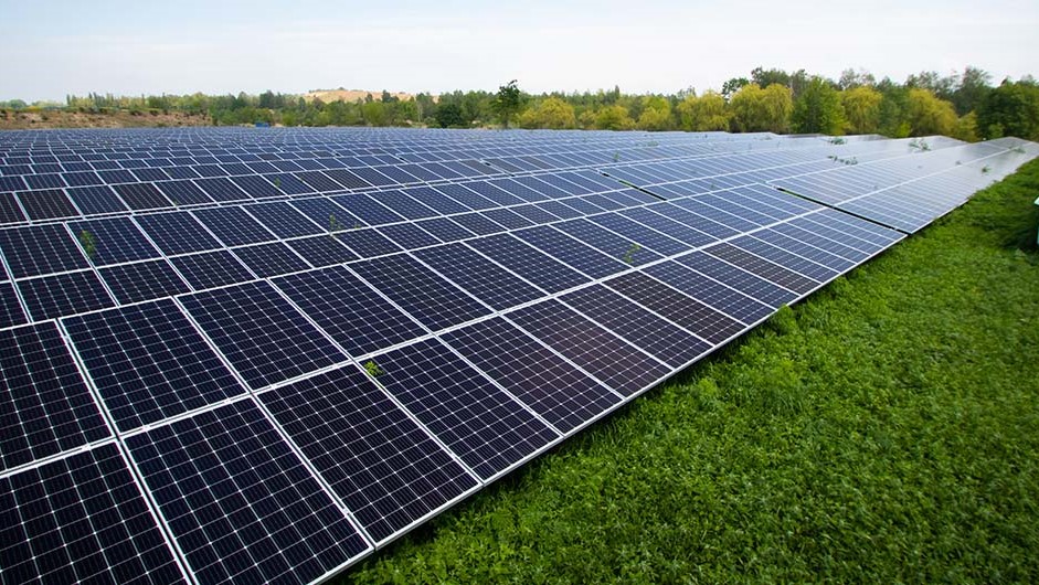 Schafe halten die Rasenflächen zwischen den Solarpanels des Solarpark Phoenix sauber
